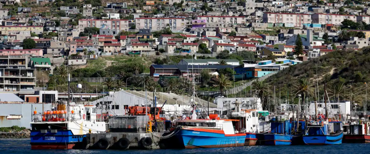 frozen squid africa supplier emerging market seafood
