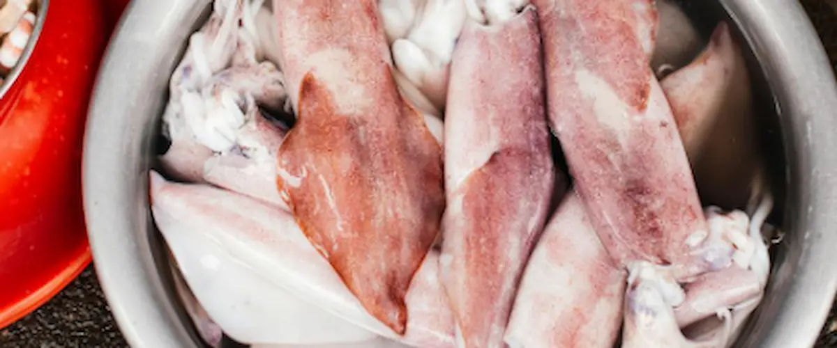 frozen squid asia japan korea china supplier trader