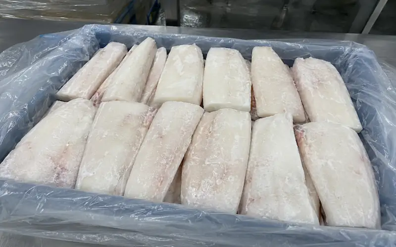 frozen squid steaks fillets dosidicus gigas