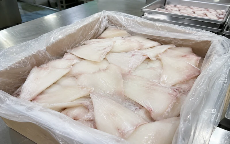 frozen squid wings fins IQF supplier